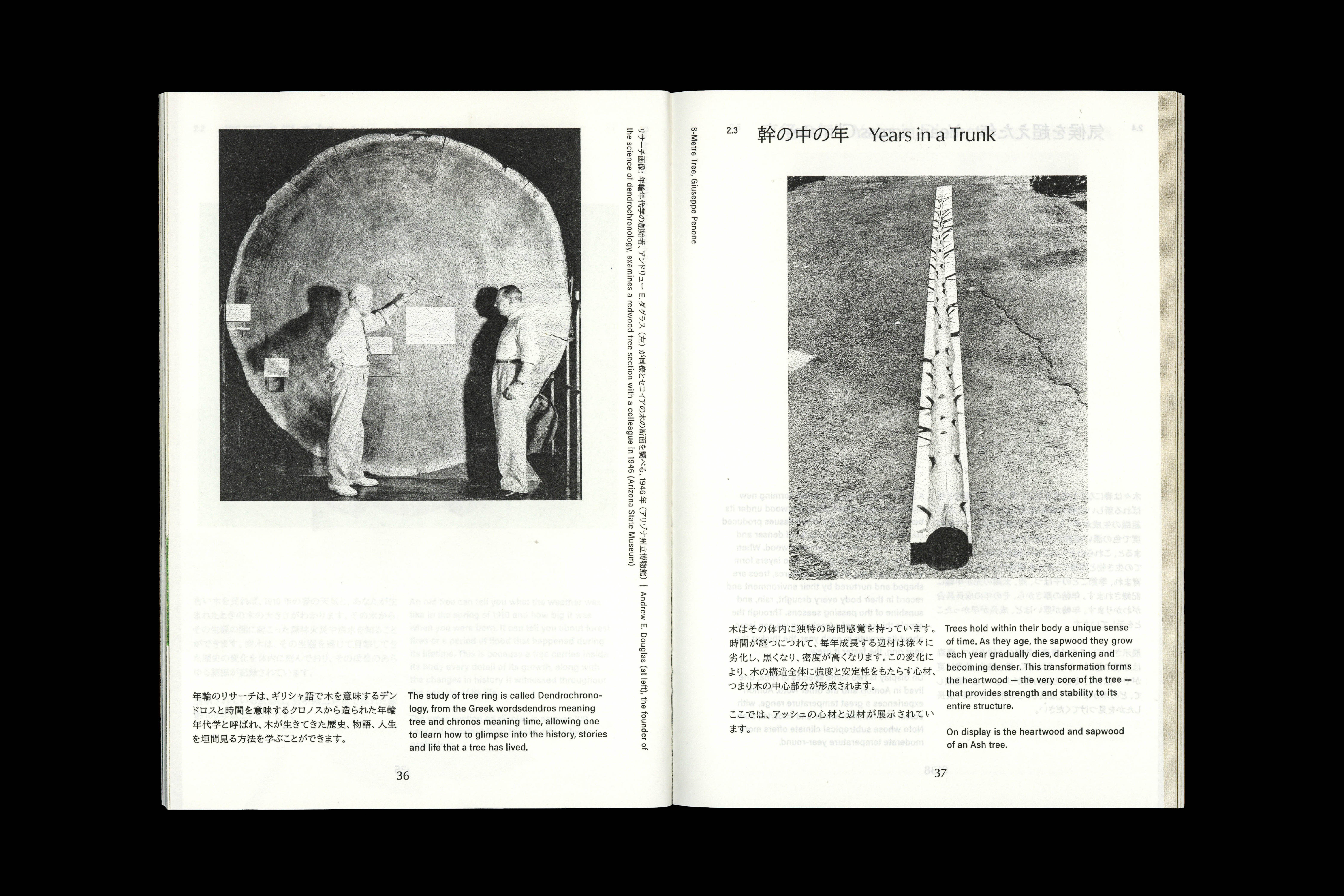 872 The Age of Wood (exhibition booklet), for Christian+Jade and Karimoku Research